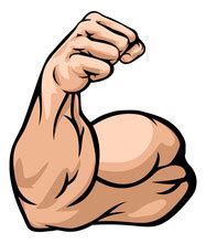 Biceps Free Stock Photo - Public Domain Pictures