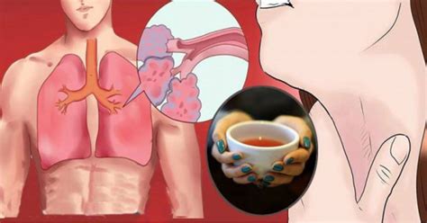 20 Natural Lung Cleanse Remedies To Breathe Better And Reduce Inflammation
