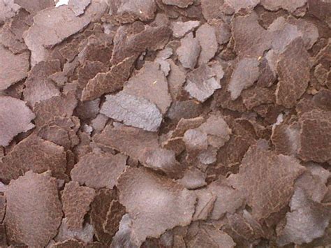 Linseed Cake at Best Price in Kanpur, Uttar Pradesh | Riddhi Oils