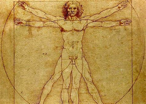 el hombre de vitruvio analiticacom