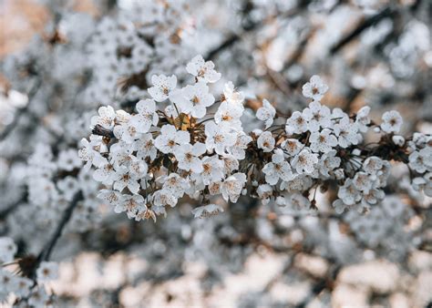 Japanese+Baddies Photos, Download The BEST Free Japanese+Baddies Stock