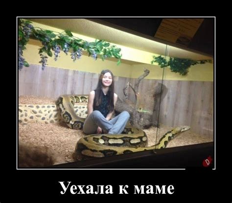 Картинки «Уехала» (20+ шт.) • Прикольные и красивые картинки