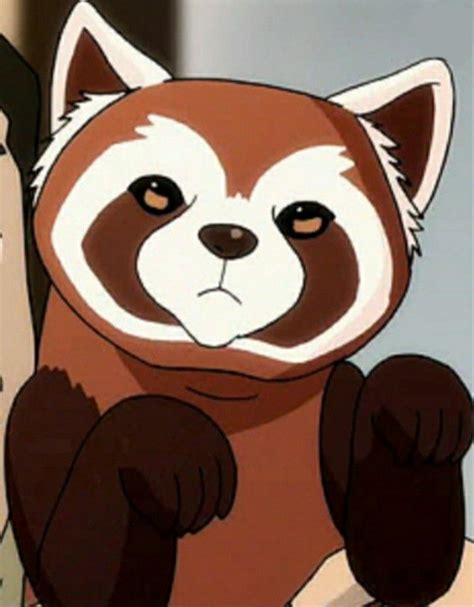 How to draw pabu a ferret from avatar – Artofit