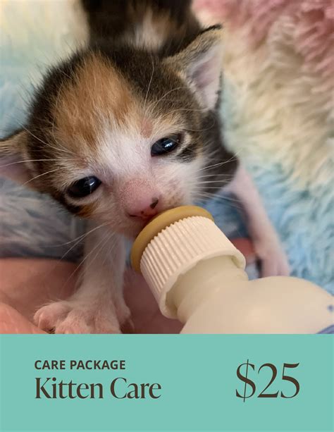 Seattle Humane Store