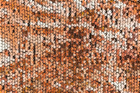 Sequin Pattern Stock Photos, Images and Backgrounds for Free Download