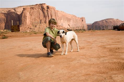how to get a service dog in arizona for free