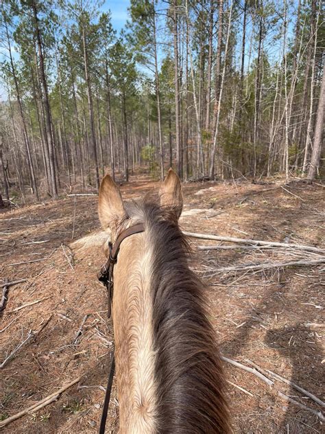 Storm's Haven Farm | Locust NC
