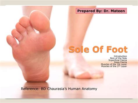 Sole of foot | PPTX