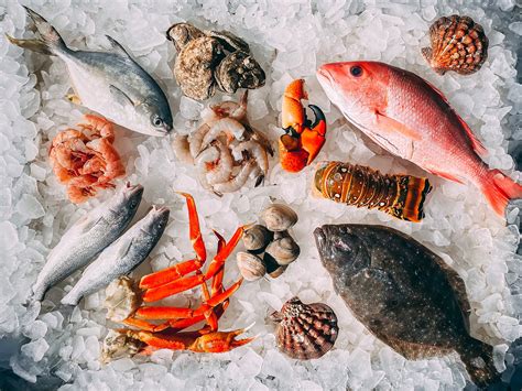 penn jersey seafood 5