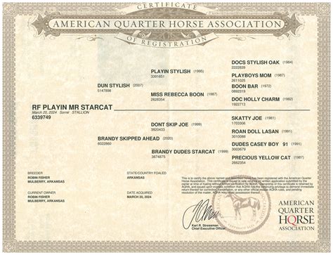 R & T Fisher Performance Horses | Mulberry AR