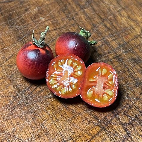 Blueberry - Tomato Seeds - Heirloom Tomato - 25+ Seeds – Oak Summit Nursery