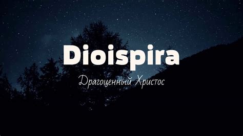 Dioispira - Драгоценный Христос - YouTube