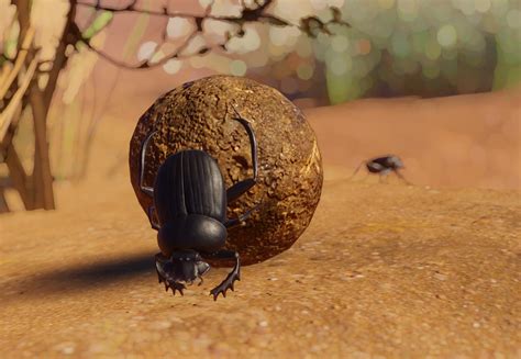 Sacred Scarab Beetle - Planet Zoo