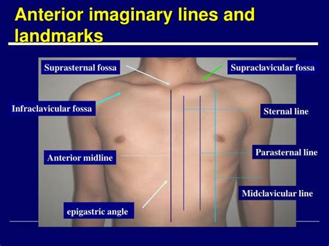 PPT - Physical Examination in Respiratory System PowerPoint
