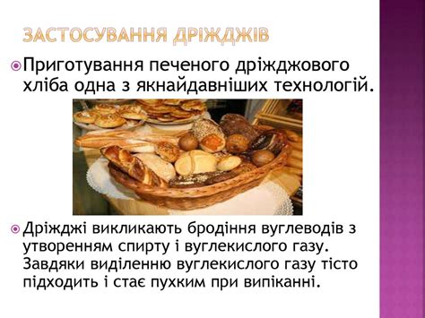 Дріжджі – це одноклітинні гриби - презентация онлайн