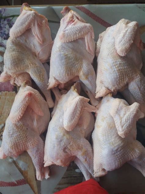 Продам мясо кур.: 600 тг. - Продукты питания / напитки Петропавловск на Olx