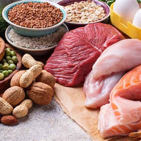 Melhores Proteinas Para Dieta - 20 Melhores Alimentos Para Uma Dieta das Proteínas - MundoBoaForma
