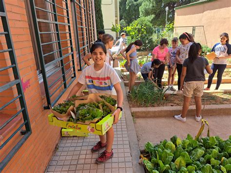 Guia Del Huerto Escolar Experiencias Pedagogicas