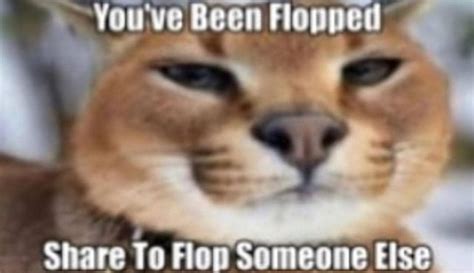 You've Been Flopped Share To Flop Someone Else - iFunny