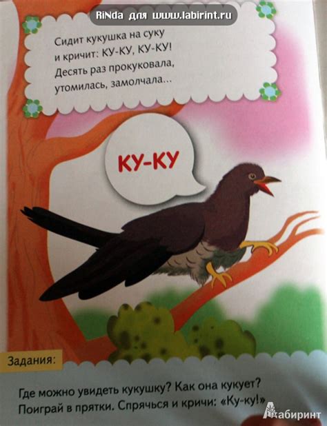 Книга: Кто как говорит - Елена Явецкая. Купить книгу, читать рецензии ...