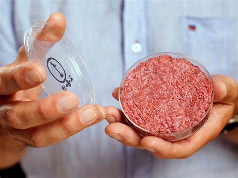 The Potential Cost Efficiency of Lab-Grown Meat - Cultivated Food Article and News