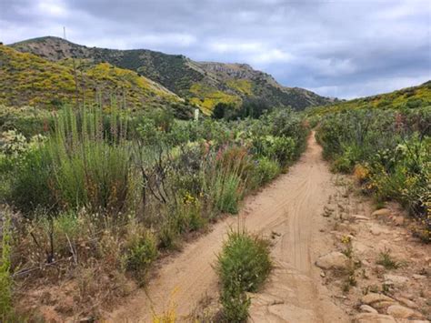 2023 Best 10 Mountain Biking Trails in Agoura Hills | AllTrails