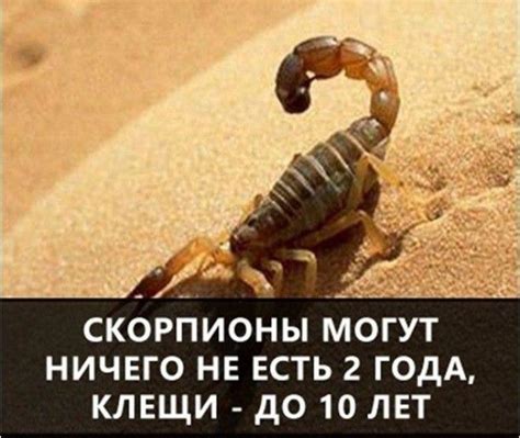 Самые интересные факты в мире в картинках