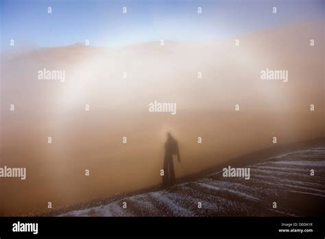 fog bow  brocken spectre  solar glory   head  shadow
