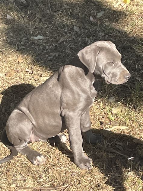 A lost Tulsa Greyhound bag had a very surprising secret inside 28