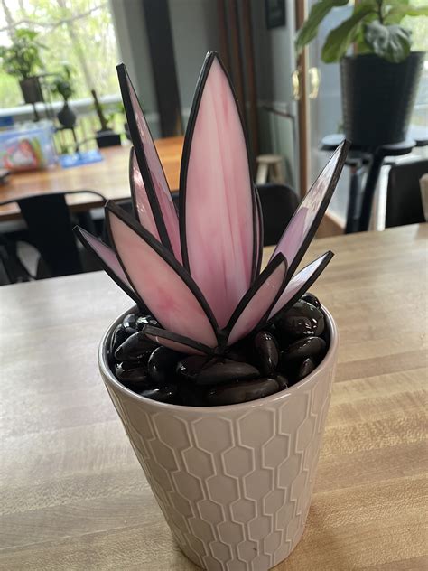 Original stained glass snake plants succulents etsy – Artofit