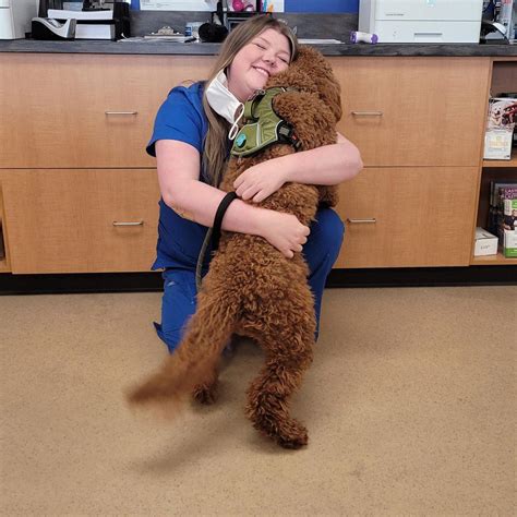 Our Services - Noahs Ark Animal Clinics