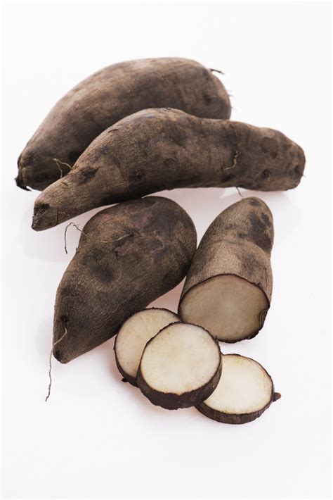 Yacon Recipes Nz | Bryont Blog