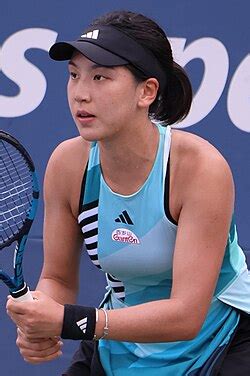 wang xinyu wikipedia