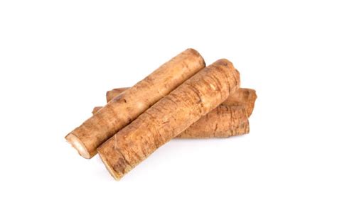 burdock root stock  pictures royalty  images istock