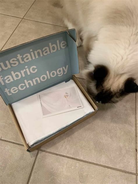Pet Hair Resistant Bedding (That Actually Works) - Floppycats™