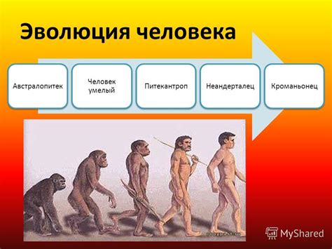 Презентация на тему: "Эволюция человекаАвстралопитек Человек умелый ...