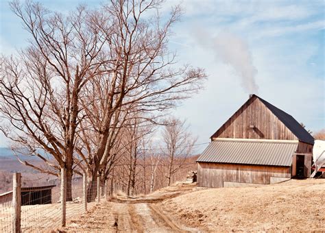 Maple Open House at Merck Forest - Happy Vermont