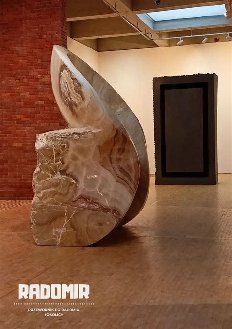 oronsko  anish kapoor radomirpl