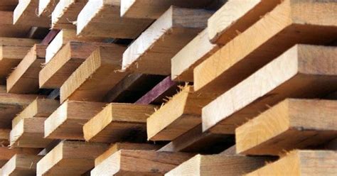 10 Different Market Forms of Timber