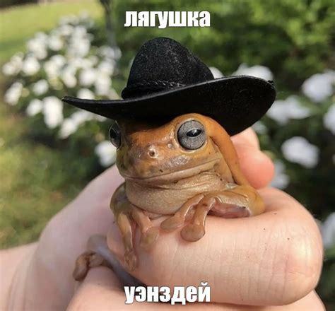 Мем: "лягушка уэнздей" - Все шаблоны - Meme-arsenal.com