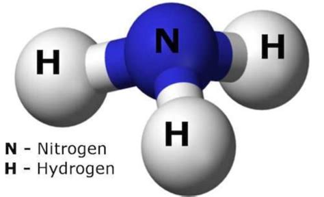 Roger Gordon – nh3 fuels
