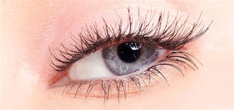 Ojos Grises | El secreto de esta bella rareza [Con Imágenes]