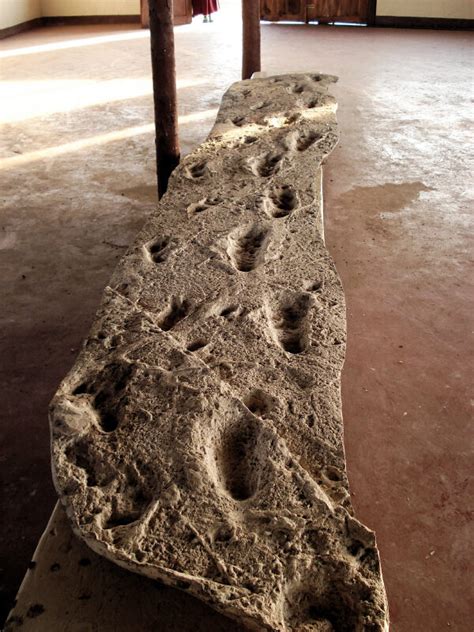 Laetoli Footprints – Ngorongoro, Tanzania - Atlas Obscura