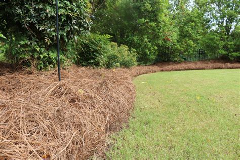 Marietta Pine Straw Delivery & Install | Pine Straw King