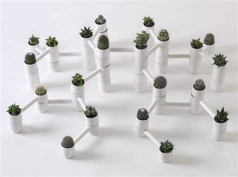 Naturalist Exhibition In Russia Features Products That Reconnect City ...
