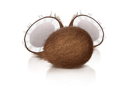 coco png vectors illustrations