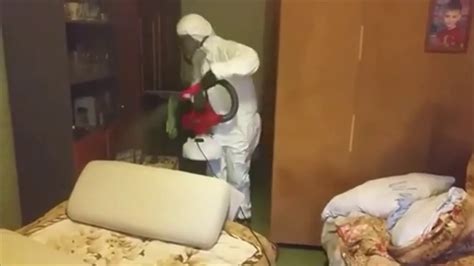 дезинфекция дезинсекция дератизация дезодорация - YouTube