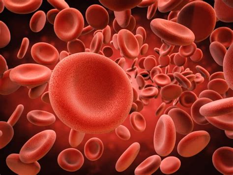 fungsi hemoglobin  kadar normalnya  tubuh  sehat