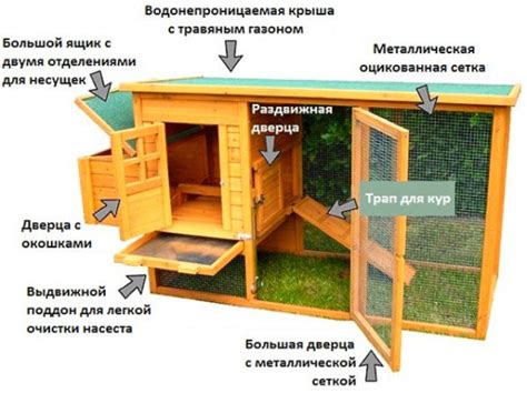 Простой курятник на 10 кур своими руками: фото и чертежи с размерами