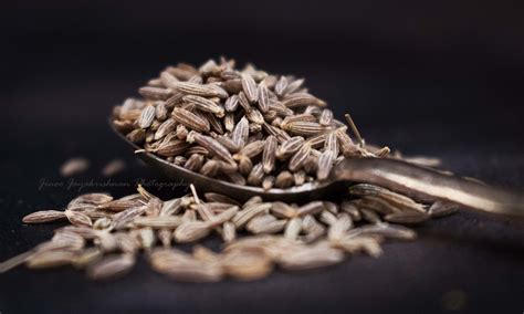 Cumin Seed Difference at Jennifer Colbert blog
